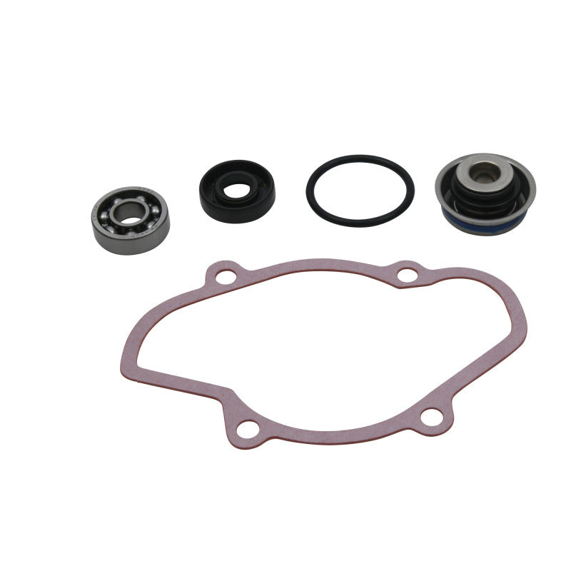 Vertex Gaskets 16-18 Ski-Doo Expedition 800 2-Stroke ETEC Water Pump Rebuild Kit