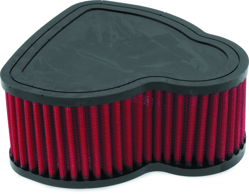 BikeMaster Honda VTX1800C/F/N/R/S/T Air Filter