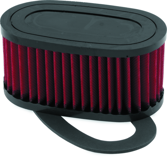 BikeMaster Honda VT750C/CD Shadow ACE/DLX Air Filter