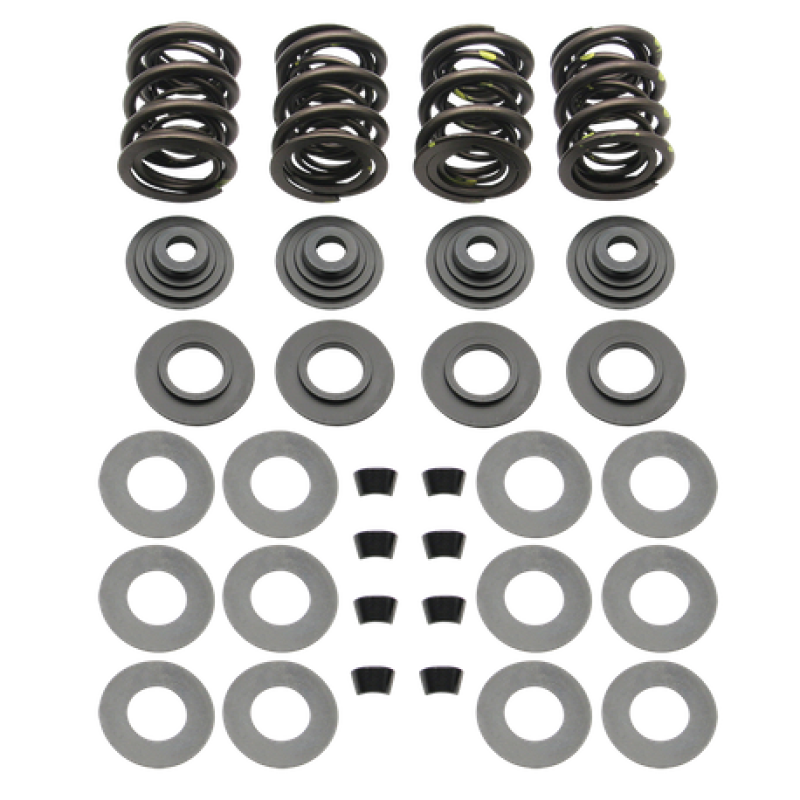 S&S Cycle 81-84 BT Triple Valve Spring Kit