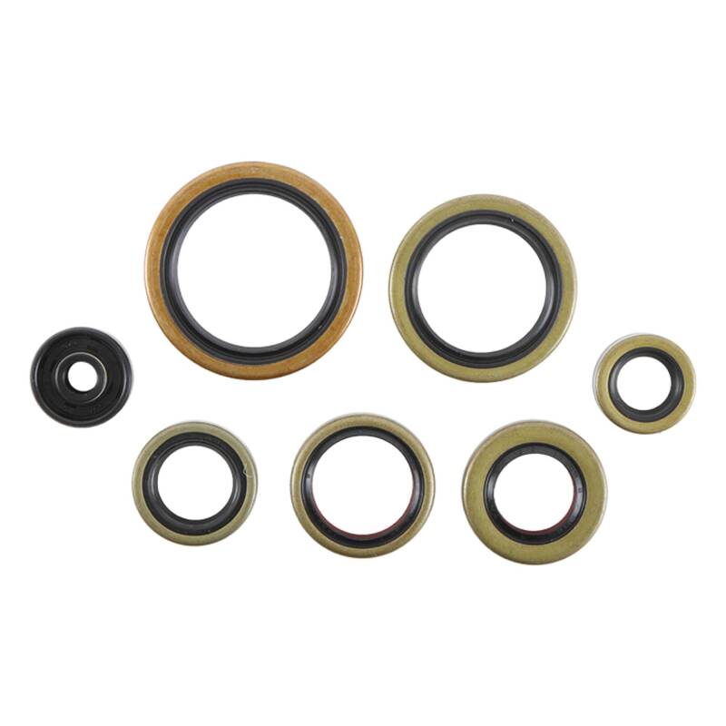 Vertex Gaskets 21-23 Gas-Gas EC250 Oil Seal Kit