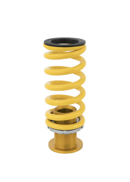 Ohlins 17-21 Honda Civic Type R (FK8) 23 Honda Civic Type R (FL5) Road &amp; Track Coilover System