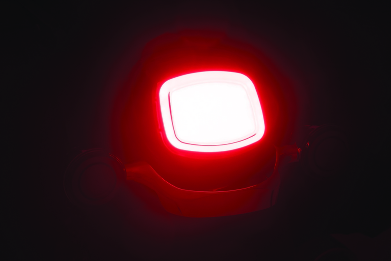 Kuryakyn Tracer LED Taillight Smoke Lens Without License Light