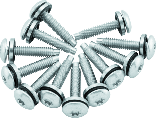 Twin Power 04-17 Dyna Models Fuel Pump Plate Screw Kit Replaces H-D 1311