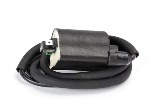 Ricks Motorsport New Ignition Coil