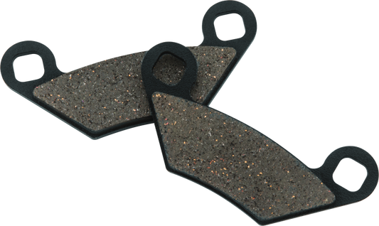 BikeMaster Polaris Brake Pads